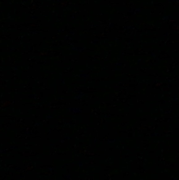 Meet your Posher, Ava - Picture 1 of 1